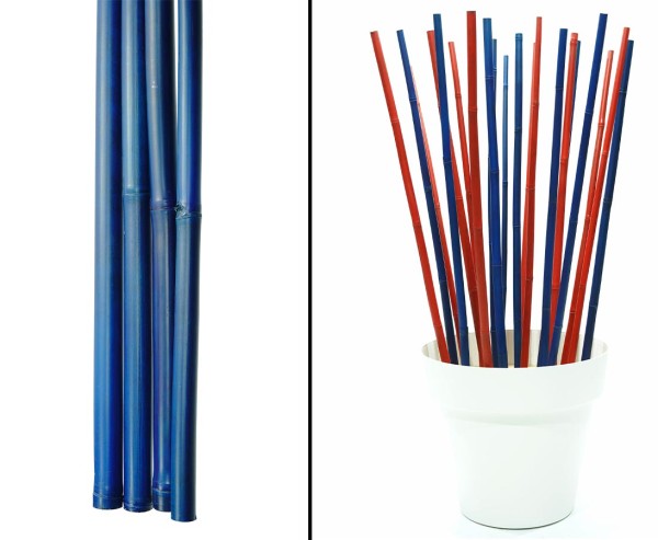 Bambusrohr blau gefärbt 200cm mit 2,8 bis 4cm Apus