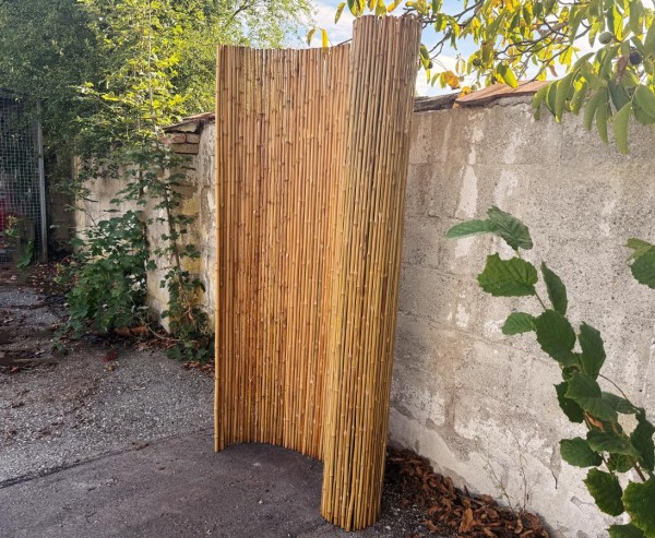 Yogy Bambusrollzaun Cendani Bambusrohre Durch. 1–2 cm H200 x B200 cm mit Edelstahldraht