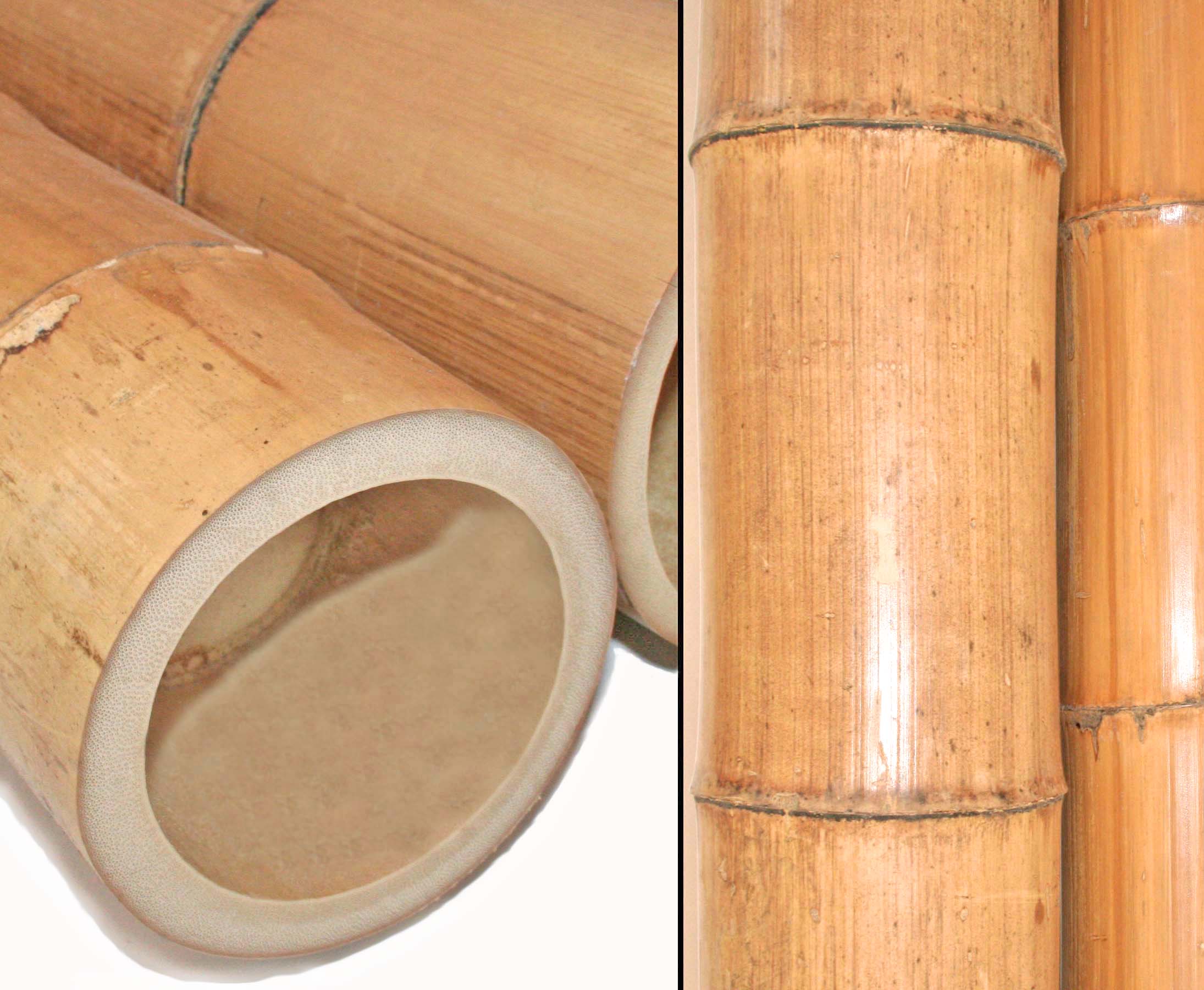 26 Bambusstäbe Bambusrohre 152 cm lang/ 15-17 mm dick 