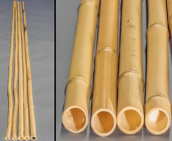 Moso Bambus, gebleicht, Durch. 5,0- 6,0cm, Länge 400cm