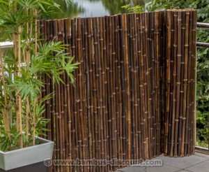 Die schwarze Bambusmatte natur von bambus-discount.com