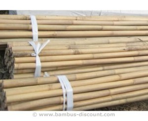 bambusrohre-tonkin