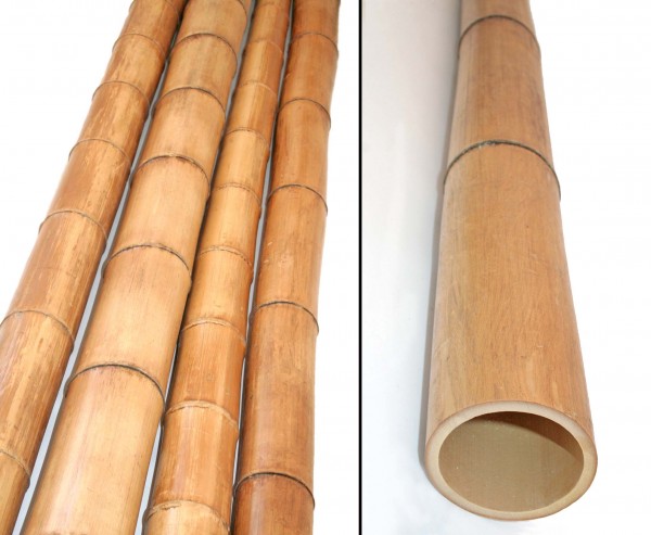 Bambusstangen Moso natur 100cm Durch. 9 bis 10cm, unbehandelt getrocknet gelbbräunlich