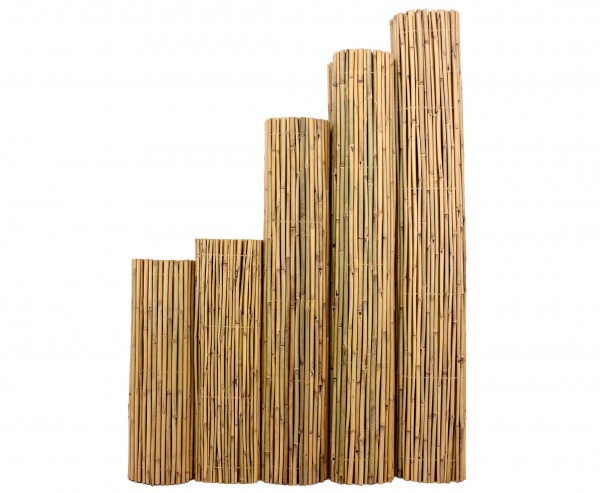 Bambusmatte "Bali" 180x300cm, extrem stabil mit Draht druchbohrt