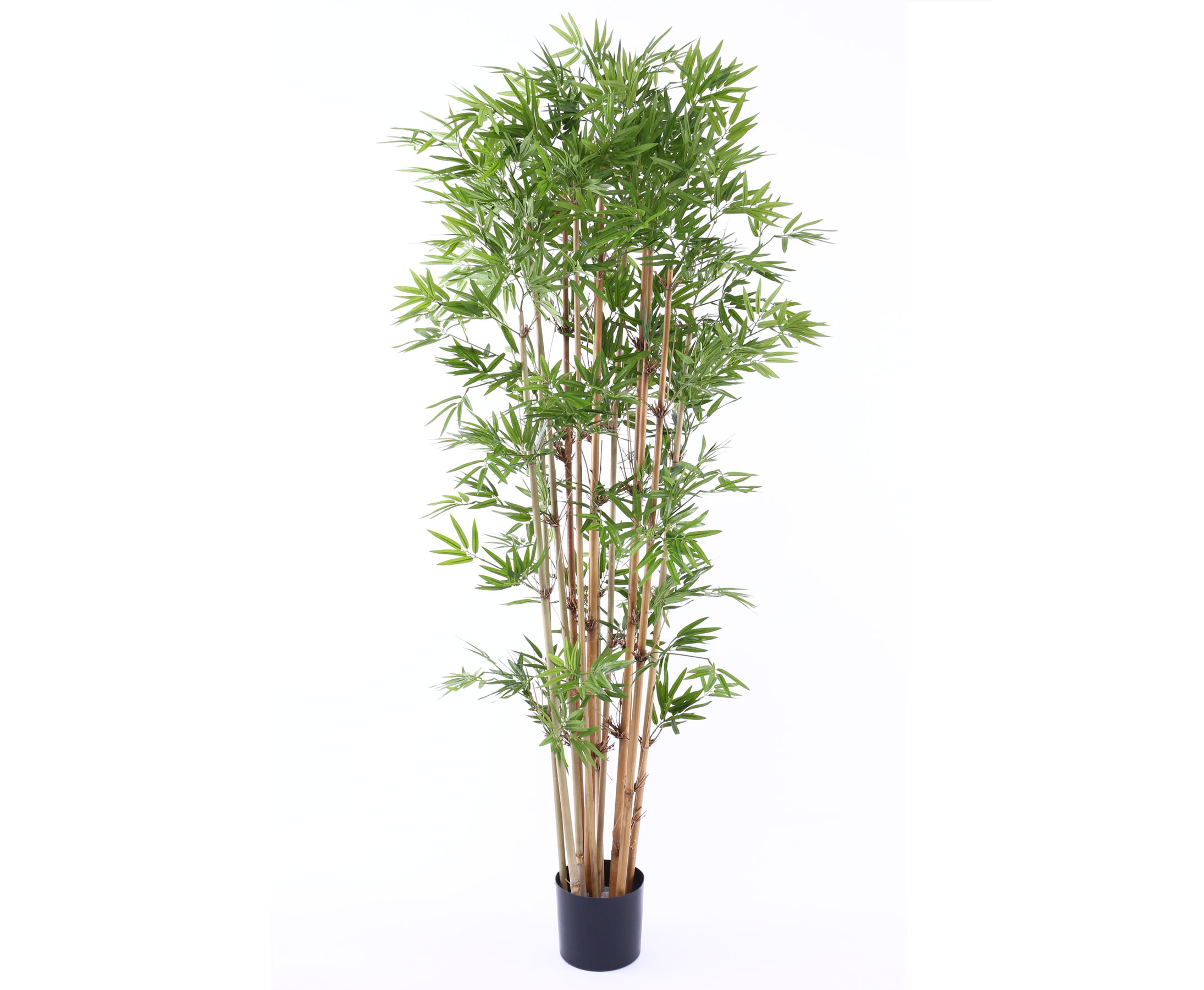 Hochwertigen Kunstbaum Bambus mit 180cm hier bestellen