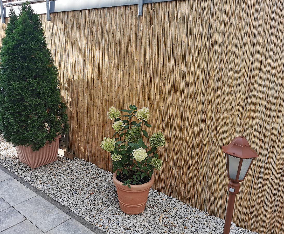 60 x 600cm Pflanzen-Versand Sichtschutz Schilfmatte Schilfrohrmatte Lärmschutz Windschutz Strohmatte 